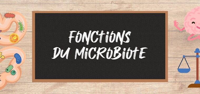 Fonctions du microbiote