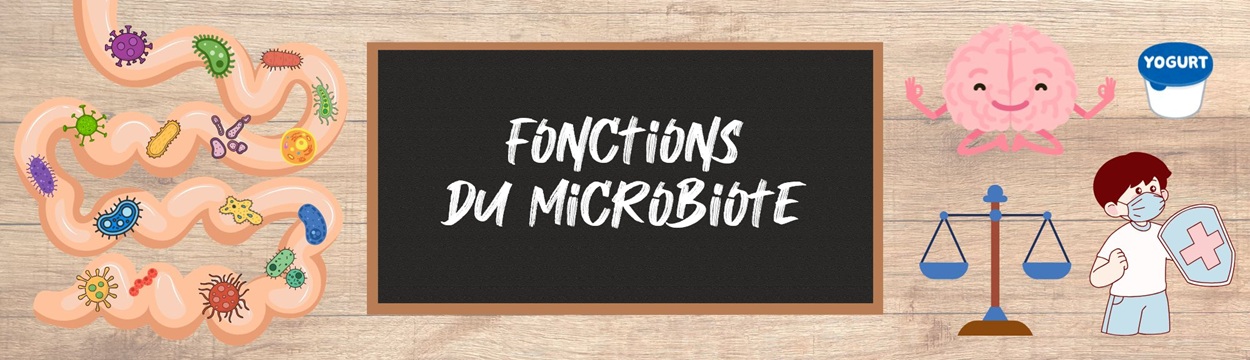 Fonctions du microbiote