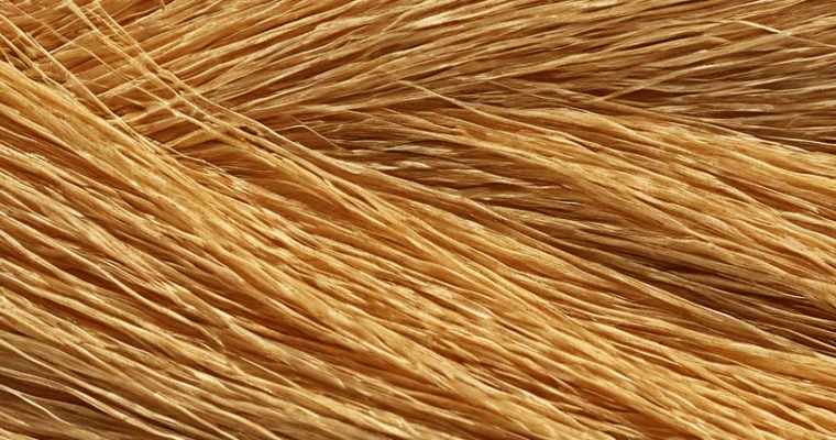 Des Fibres, toujours des Fibres !
