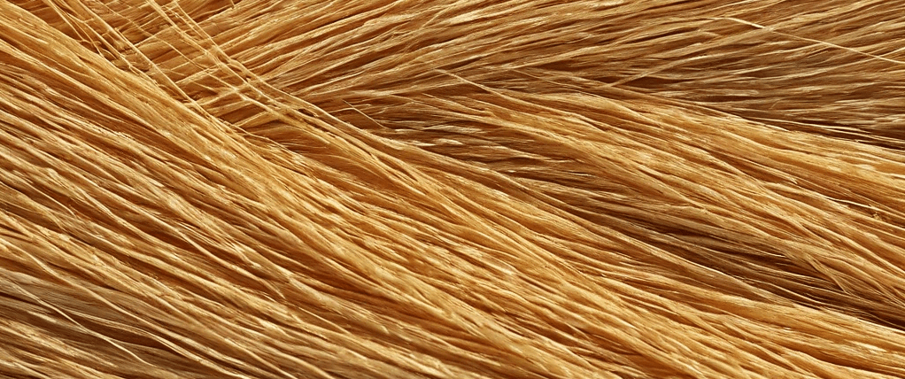 Des Fibres, toujours des Fibres !