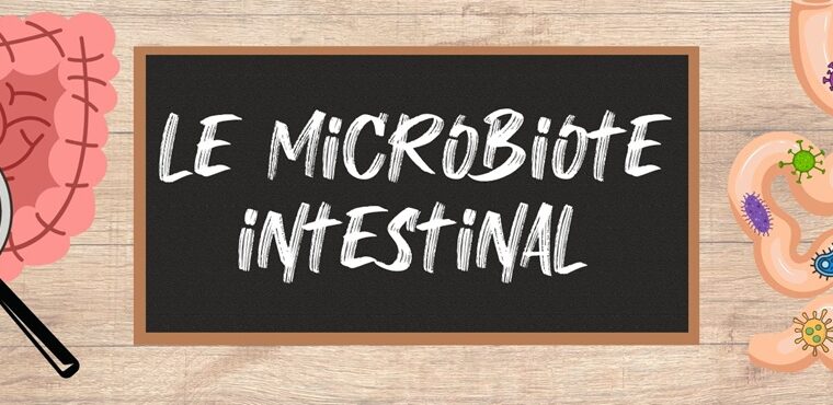 Avoir un microbiote en bonne santé