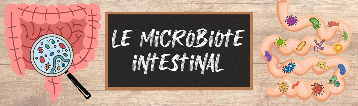 Avoir un microbiote en bonne santé