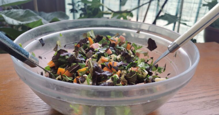 Salade – Abricots