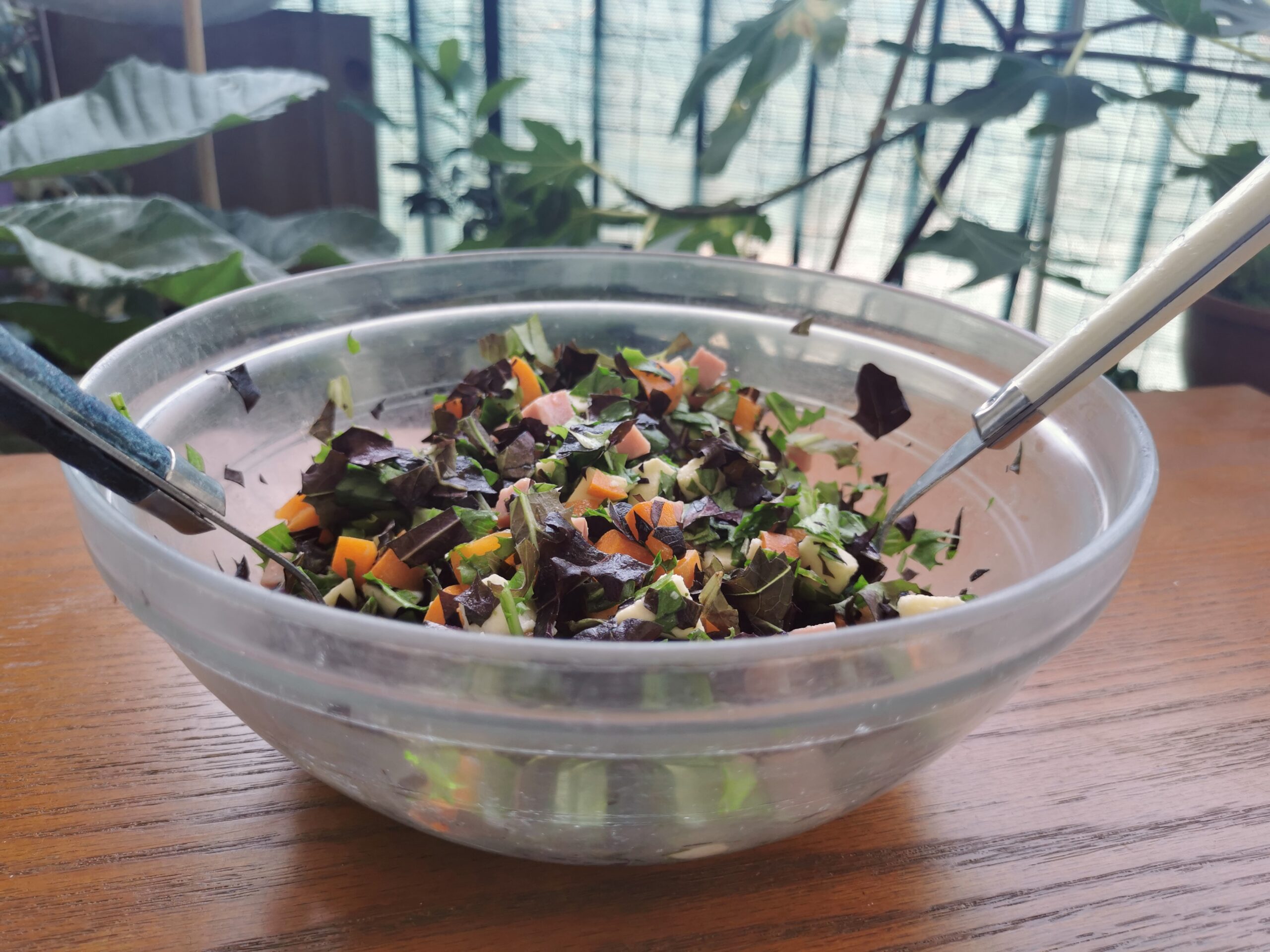Salade – Abricots