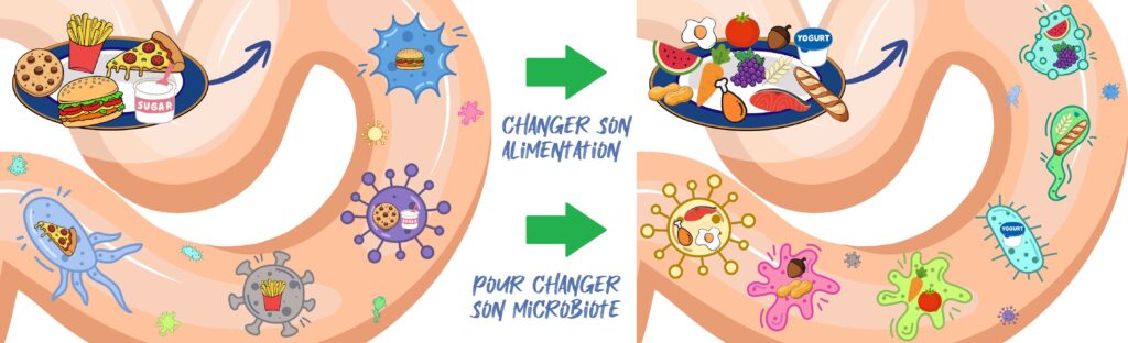 microbiote changeant en fonction de ce que vous mangez