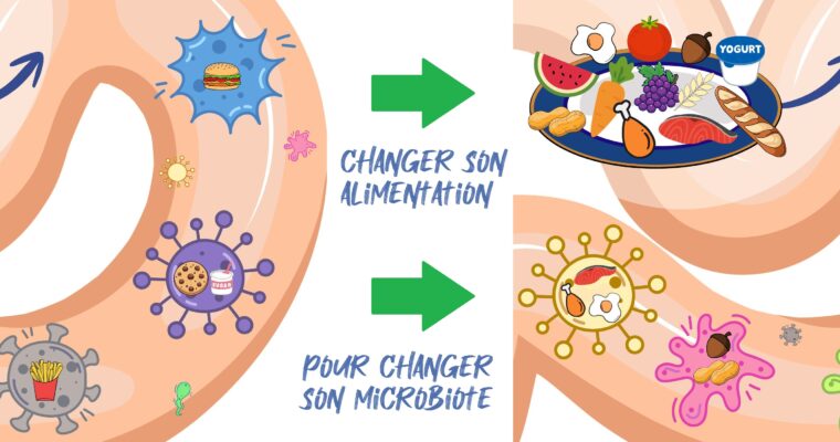 Comment notre alimentation reprogramme notre microbiote… et nos envies