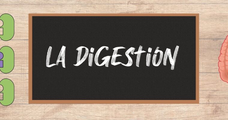 La digestion
