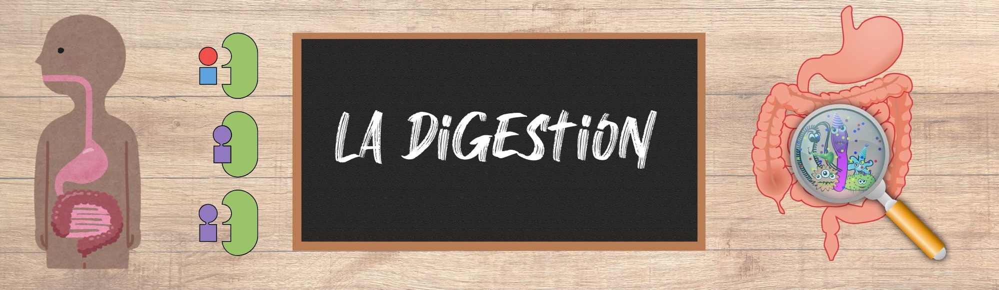La digestion