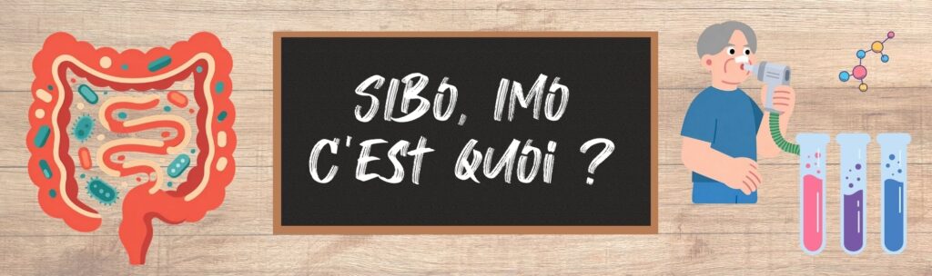 sibo, imo, maladies de la digestion