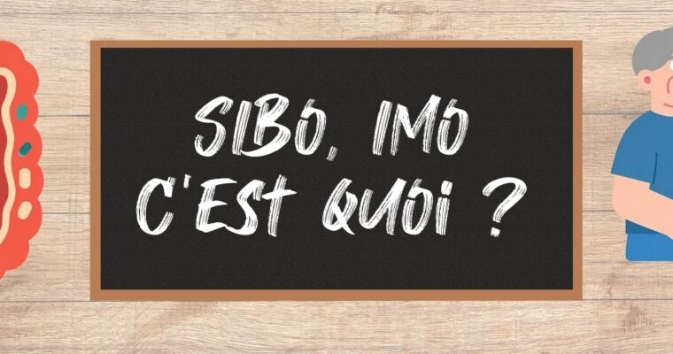 SIBO et IMO : comprendre ces troubles digestifs